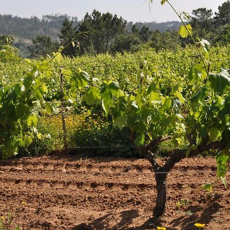 Quinta Da Serrana Ourém Εξωτερικό φωτογραφία