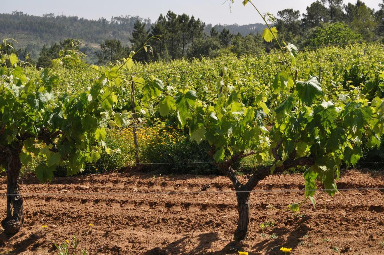 Quinta Da Serrana Ourém Εξωτερικό φωτογραφία