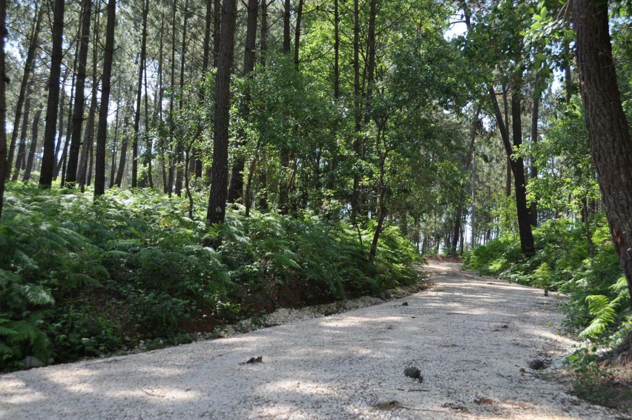 Quinta Da Serrana Ourém Εξωτερικό φωτογραφία