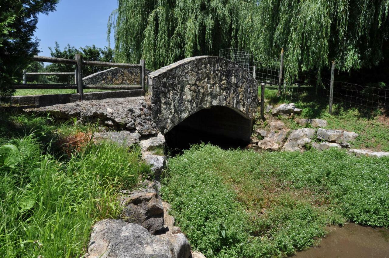 Quinta Da Serrana Ourém Εξωτερικό φωτογραφία